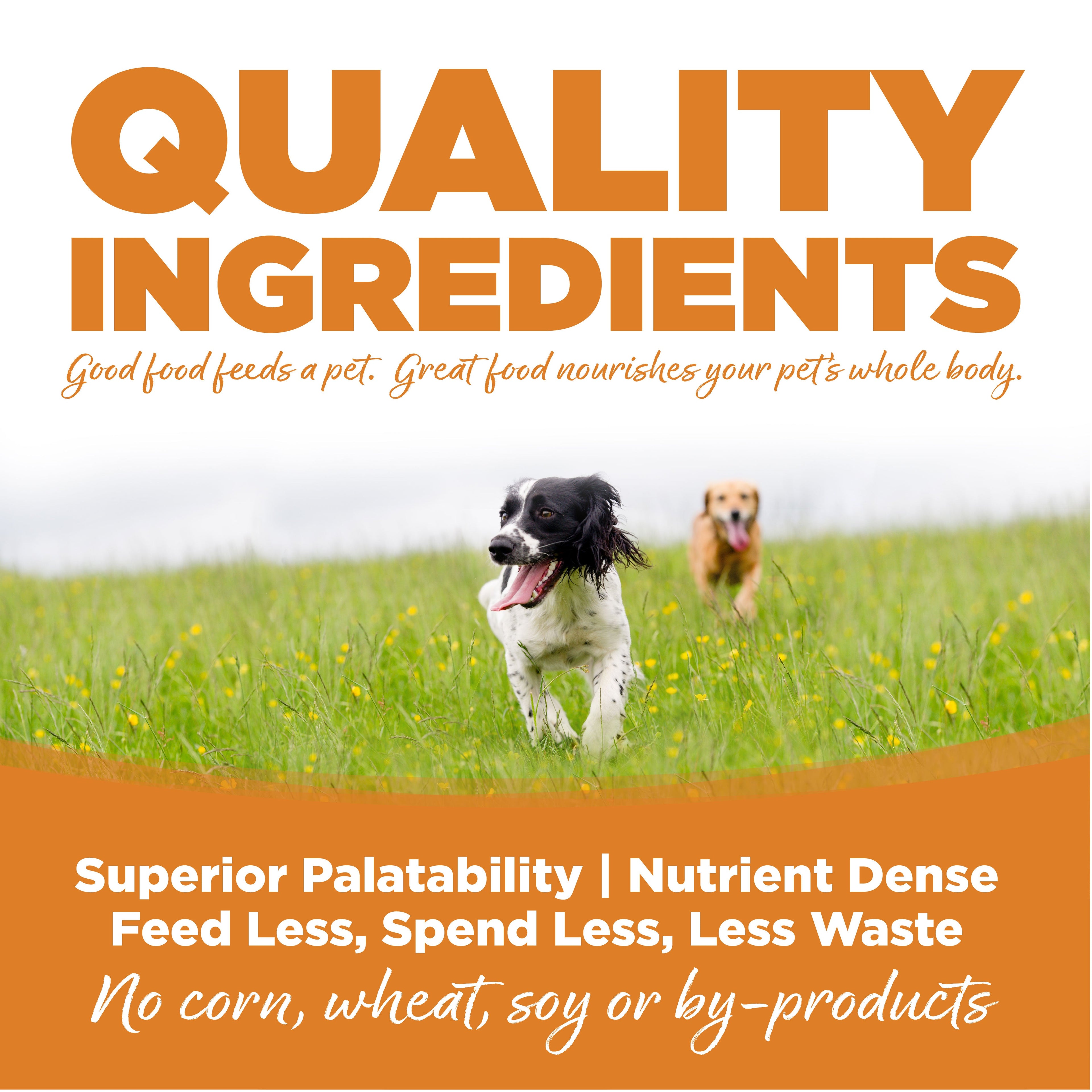 Quality Ingredients: Superior Palatability & Nutrient Dense – Feed less, spend less, less waste. No corn, wheat, soy or by-products.