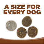 Large Breed Dog Food product image 8