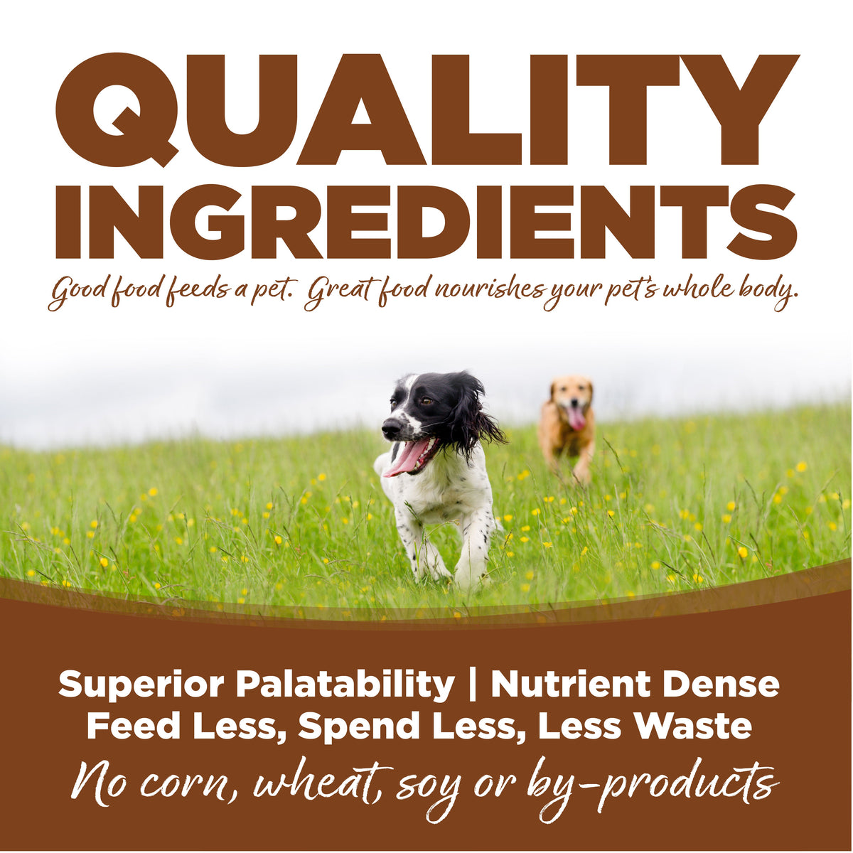 Large Breed Dog Food product image 6