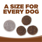 Large Breed Dog Food product image 8