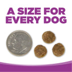 Large Breed Puppy Food product image 9