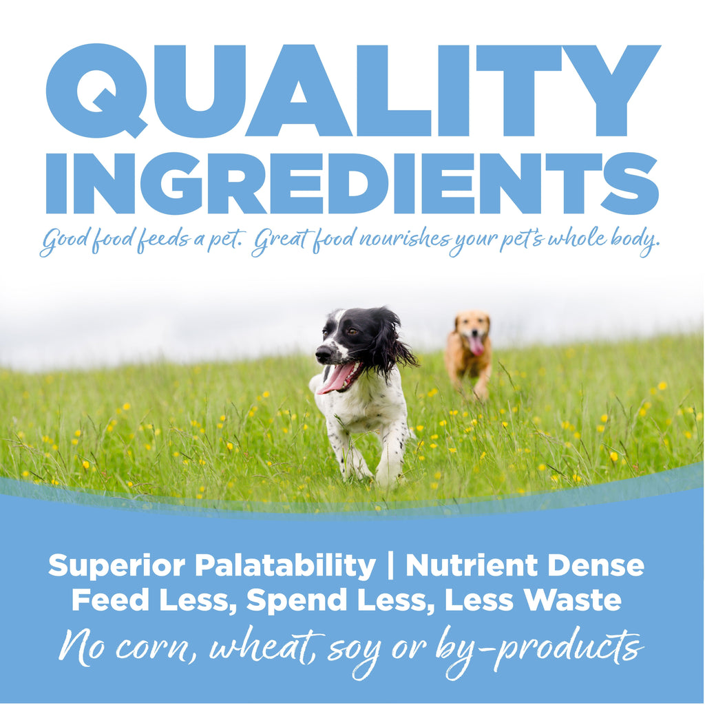 Large Breed Dog Food product image 7