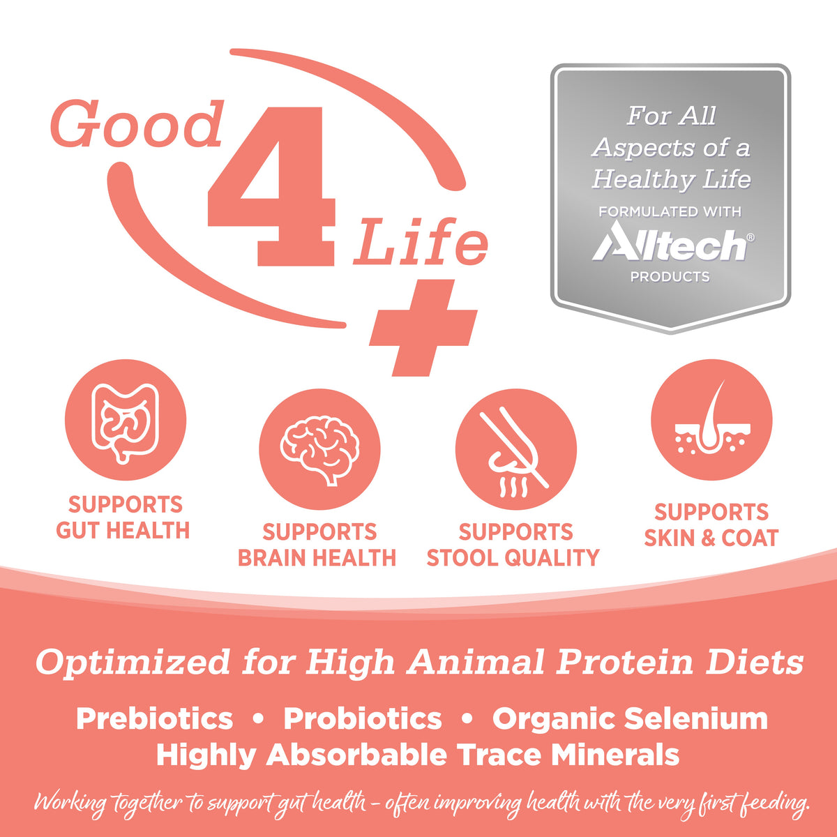 Dry Cat Food product image 3