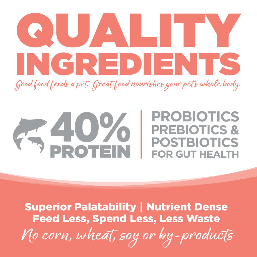 Dry Cat Food product image 8
