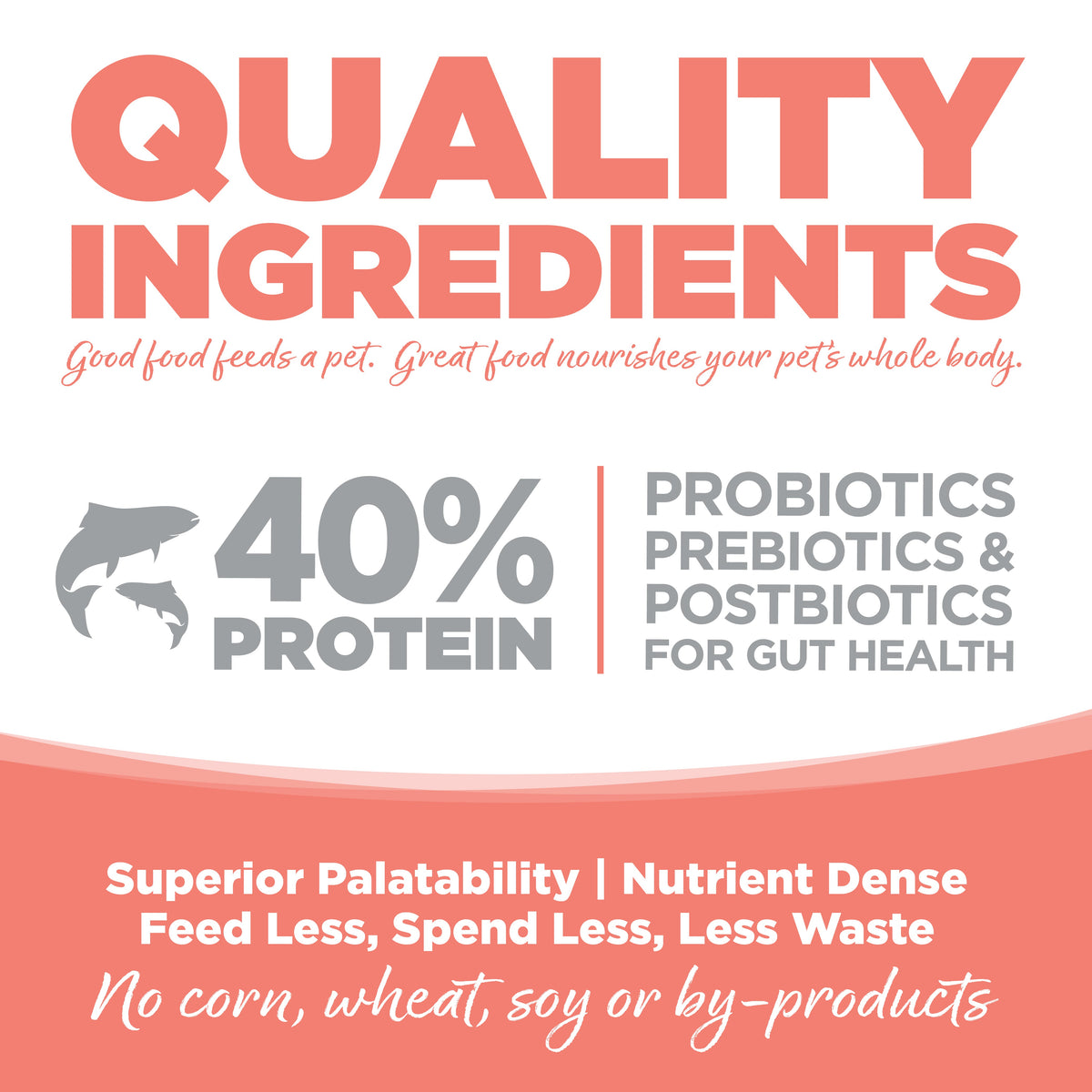 Dry Cat Food product image 8