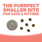 Dry Cat Food product image 9
