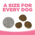 Grain Free Dog Food product image 9