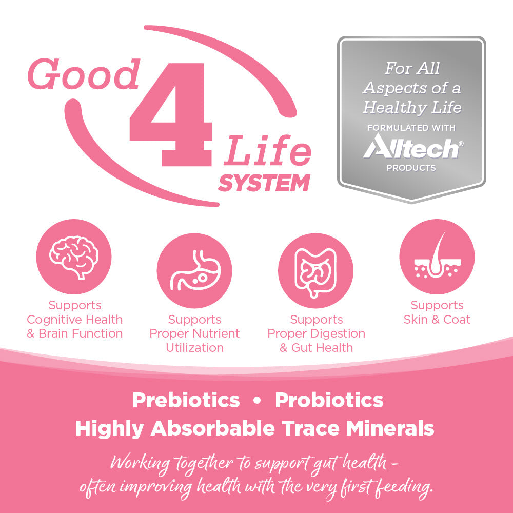 Grain Free Cat Food product image 3