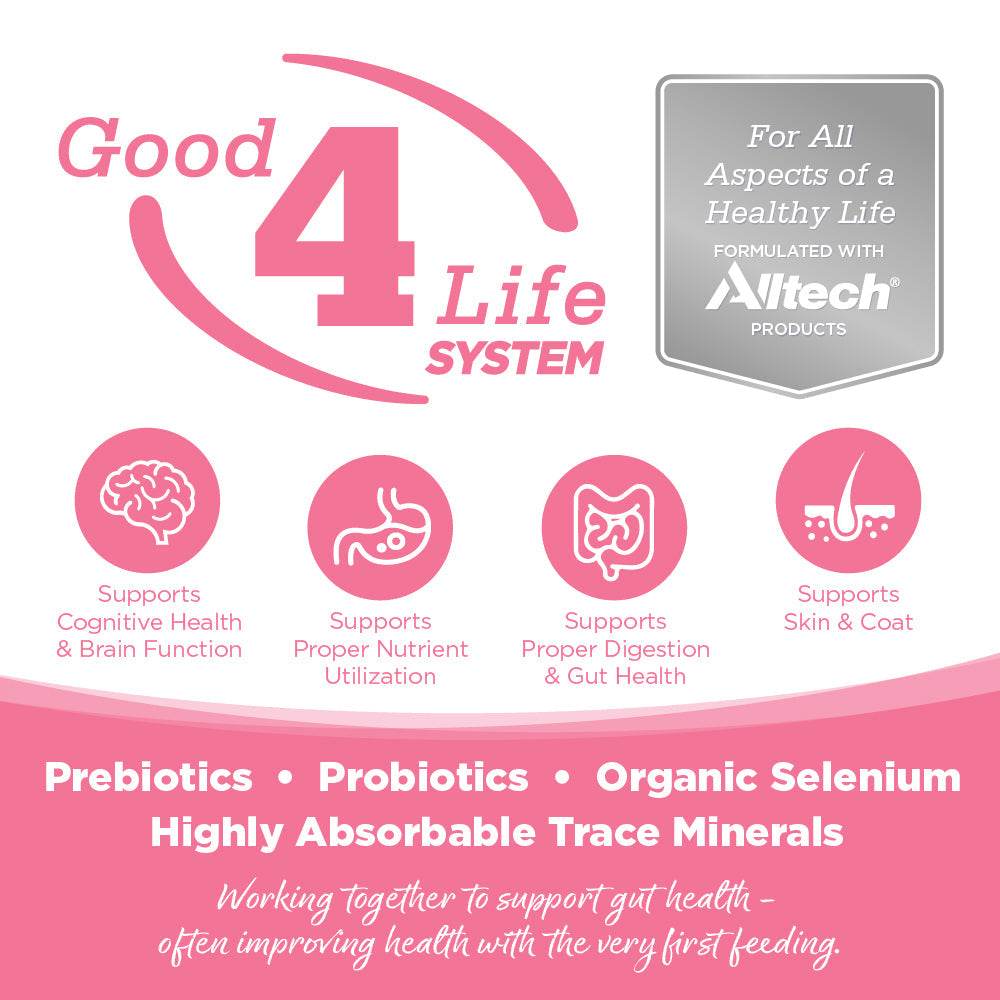 Small Bites Dog Food product image 3
