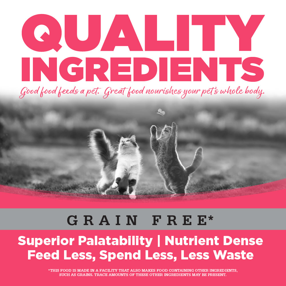 Wet Cat Food product image 5