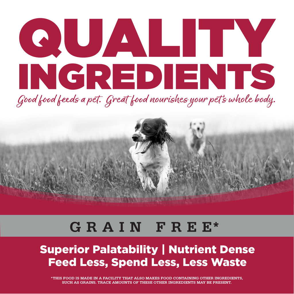 Dog Food product image 8