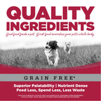 Dog Food product image 8