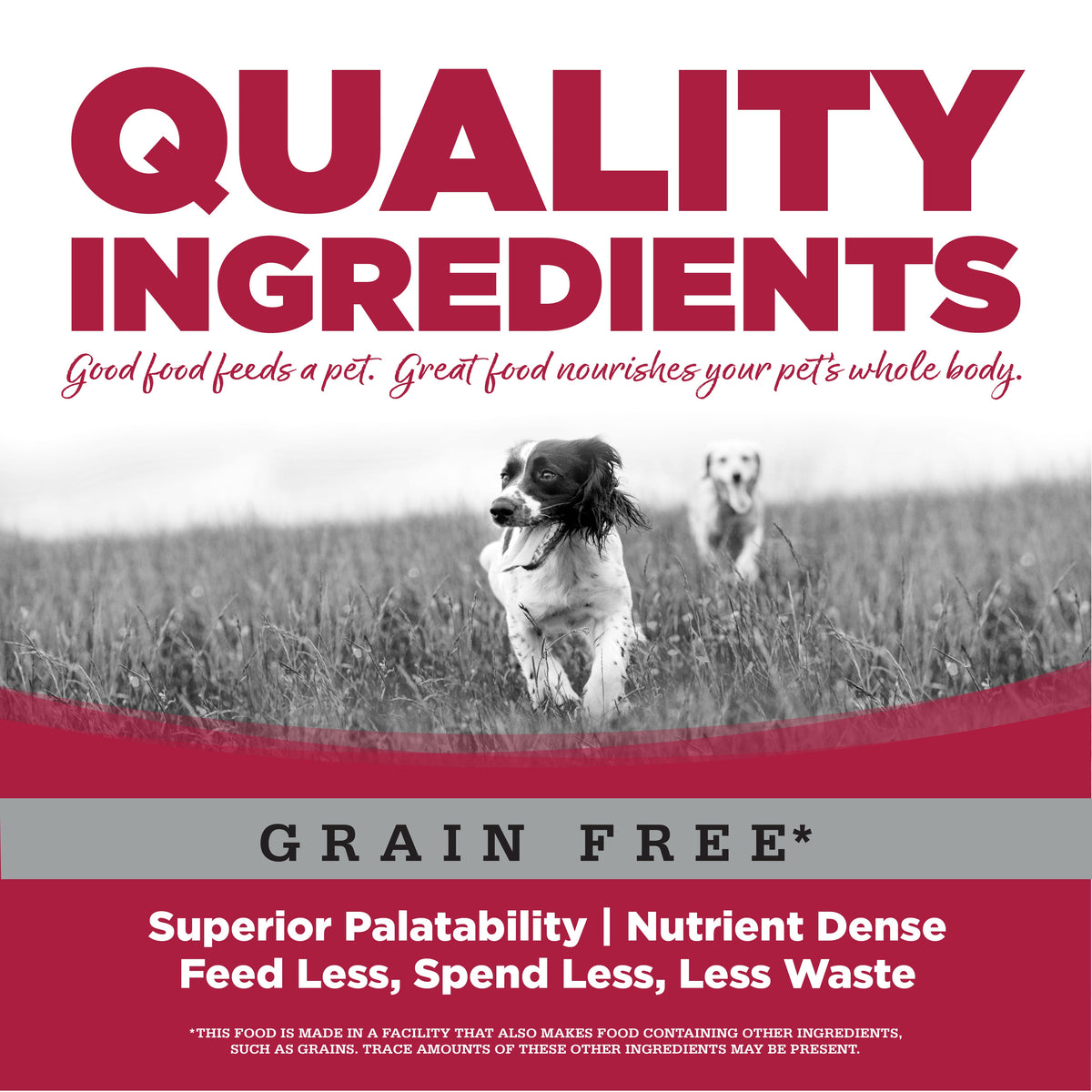 Dog Food product image 8