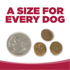 Dog Food product image 9