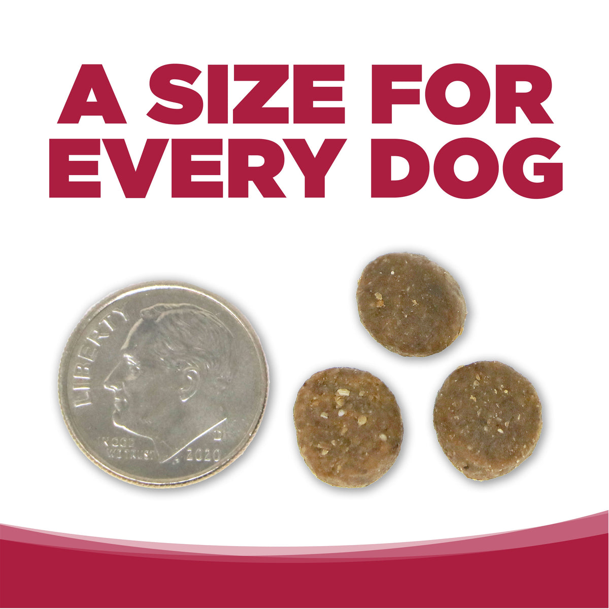 Dog Food product image 9