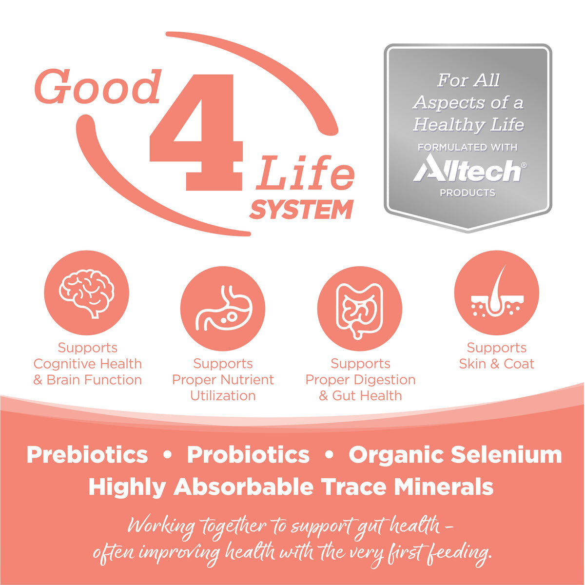 Dog Food product image 3