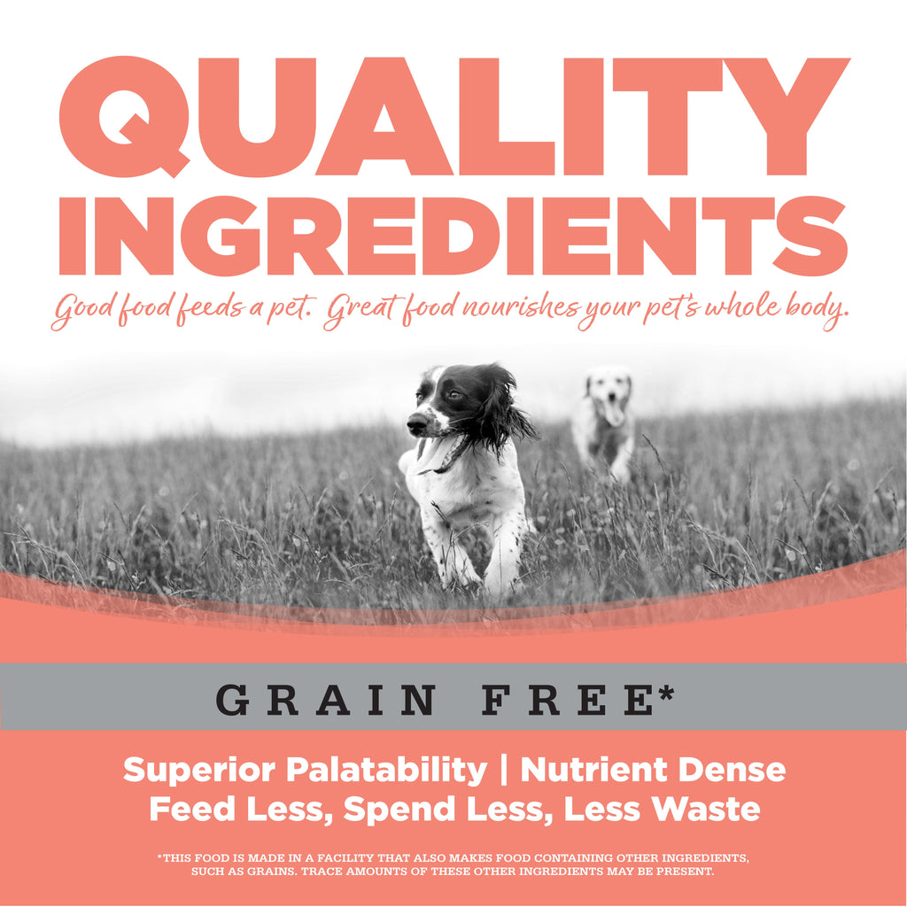 Dog Food product image 8