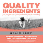 Dog Food product image 8