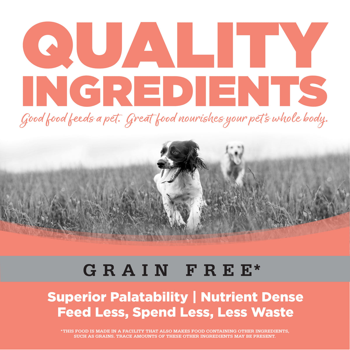 Dog Food product image 8