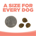 Dog Food product image 9