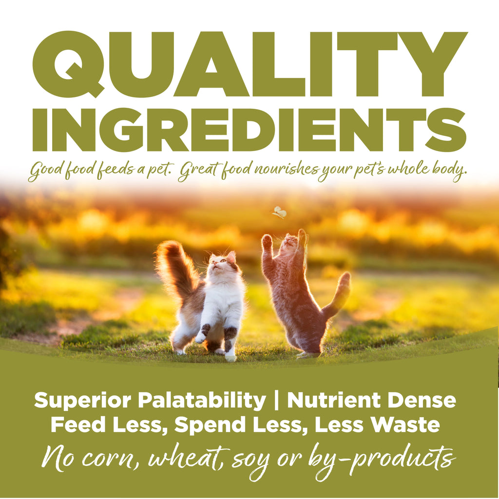 Senior Cat Food product image 8