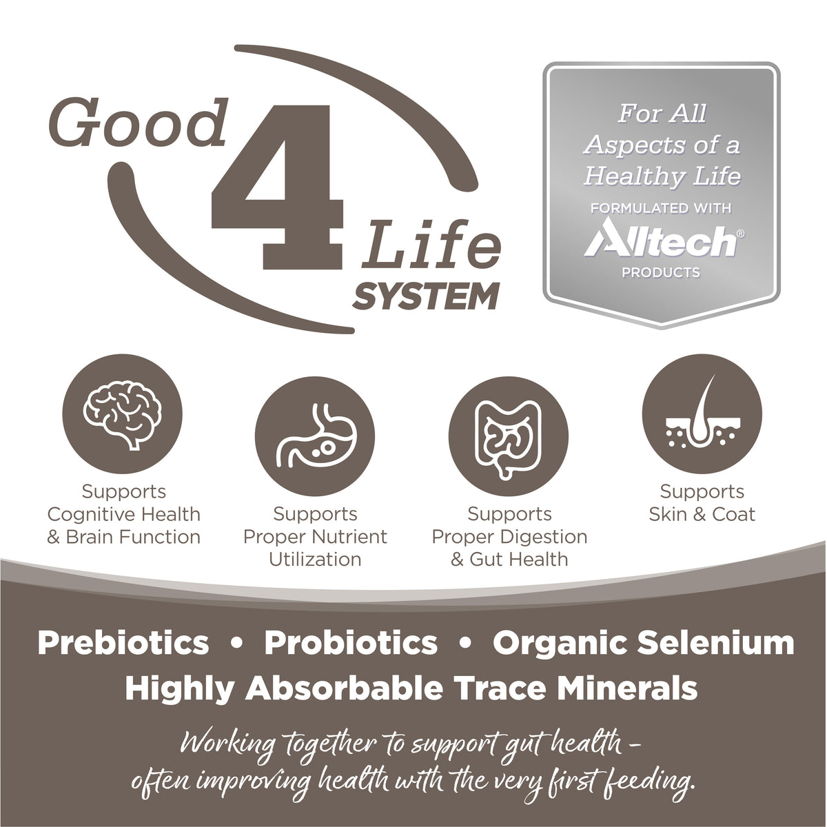 Senior Dog Food product image 3