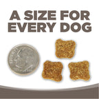 Senior Dog Food product image 9