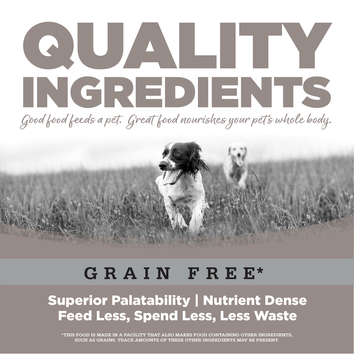 Senior Dog Food product image 6
