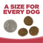 Dry Dog Food product image 9
