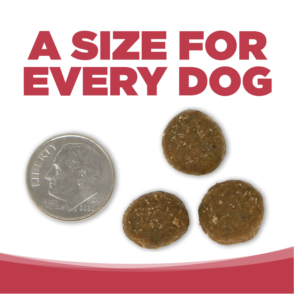 Dry Dog Food product image 9