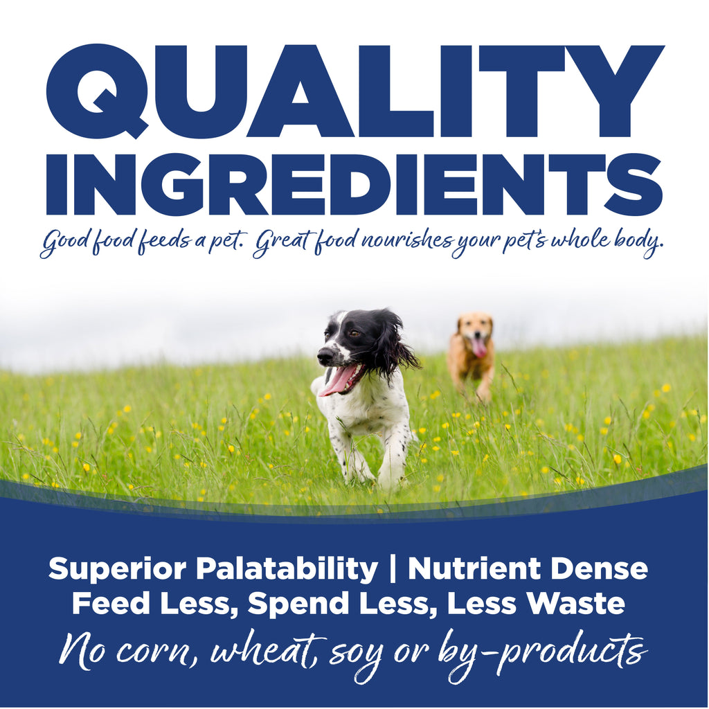 Dog Food product image 8