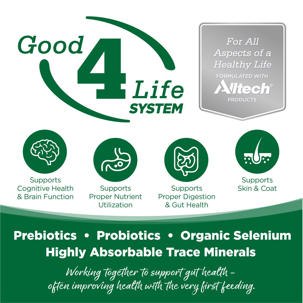 Dog Food product image 3