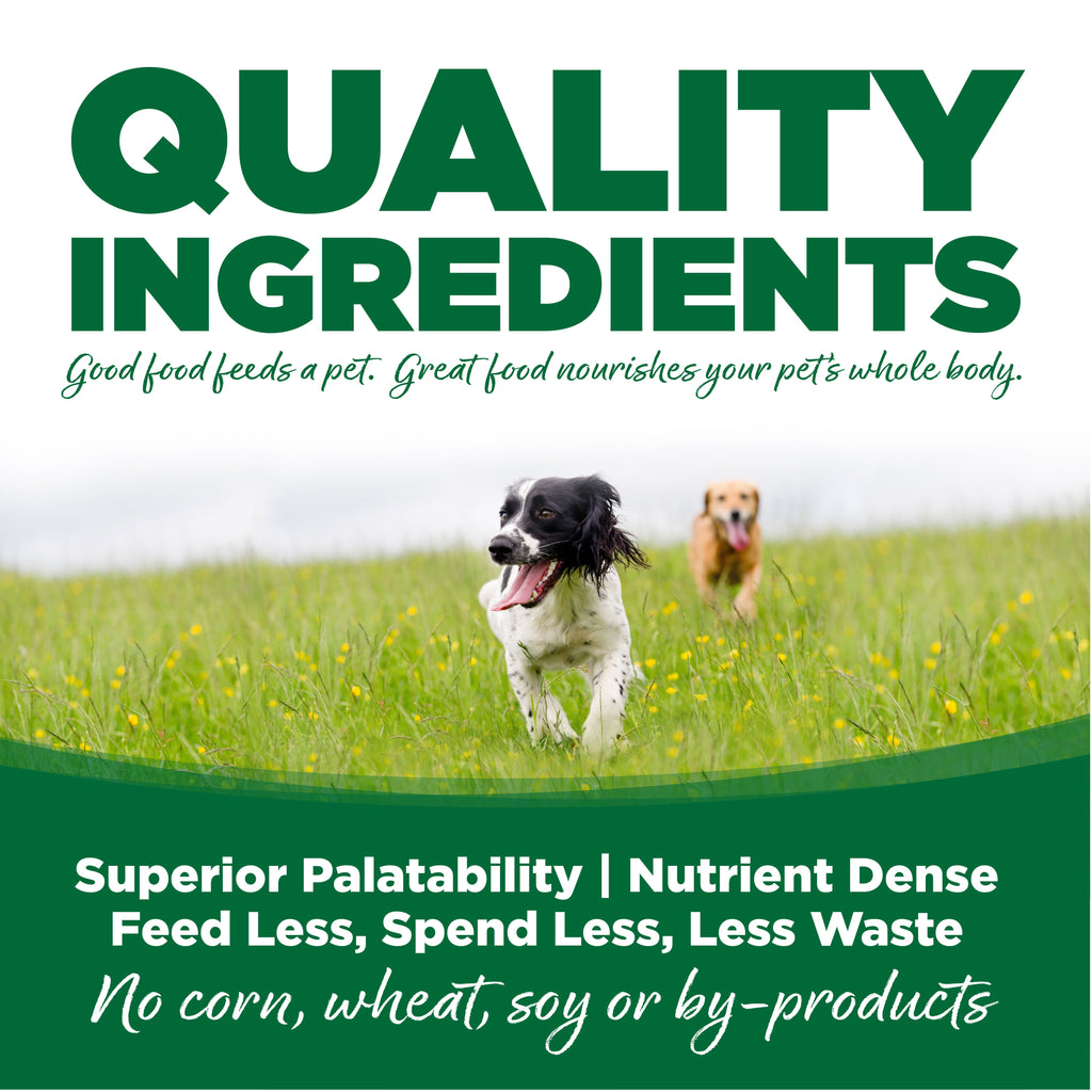 Dog Food product image 7