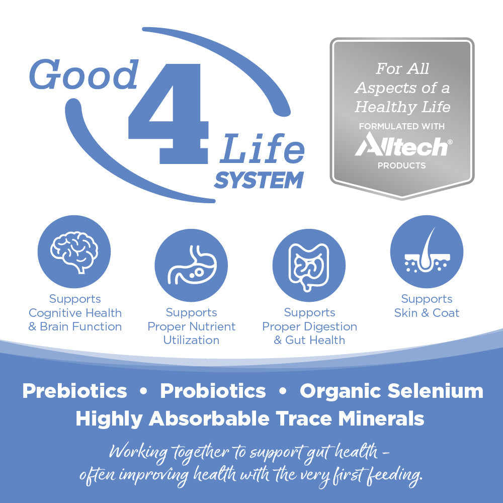 Grain Free Dog Food product image 3