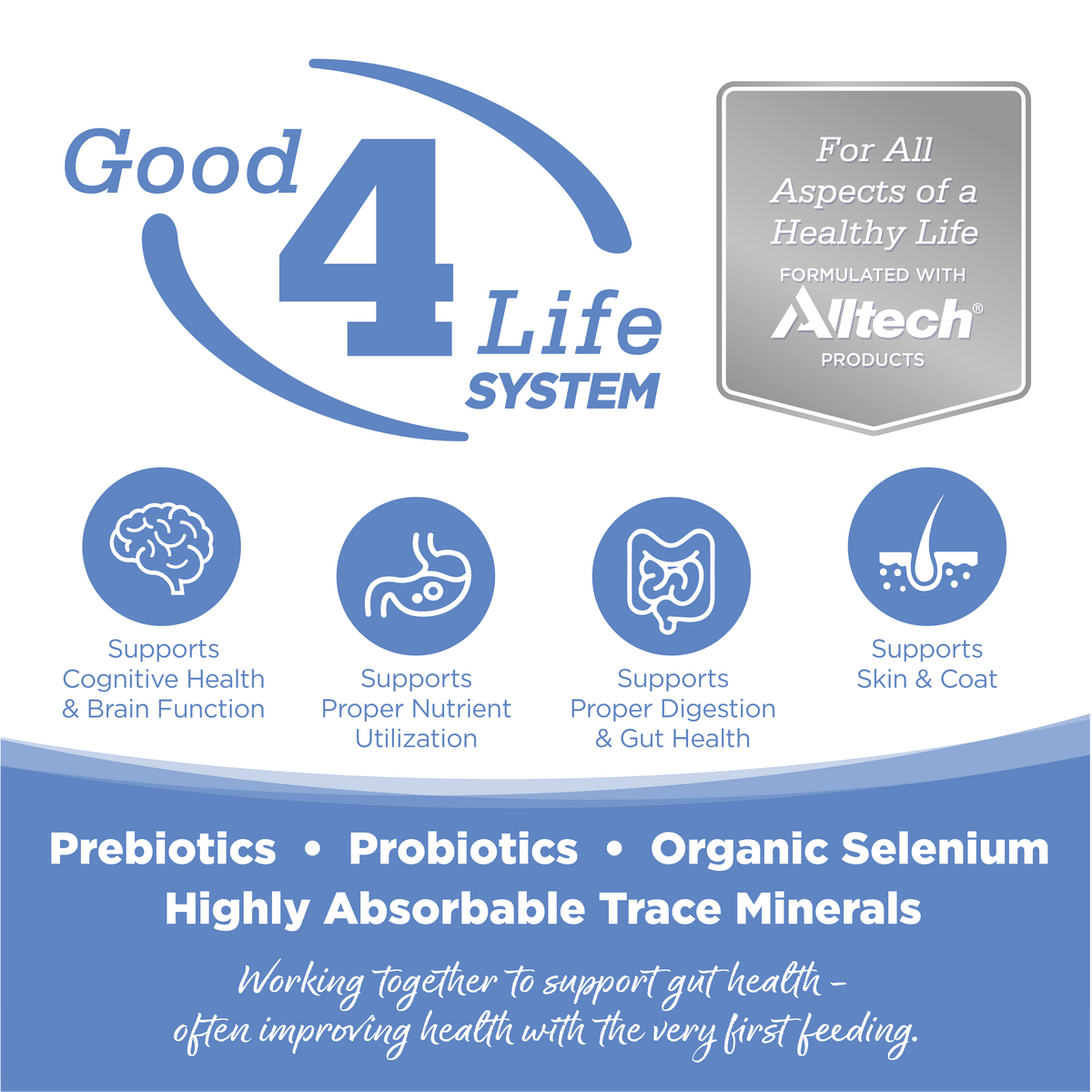 Grain Free Dog Food product image 3