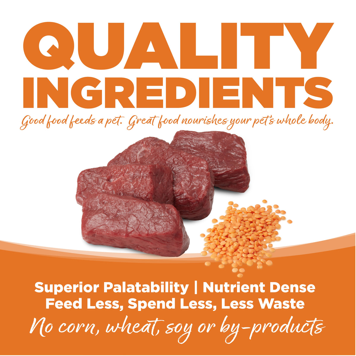 Grain Free Dog Food product image 7