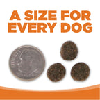 Grain Free Dog Food product image 9