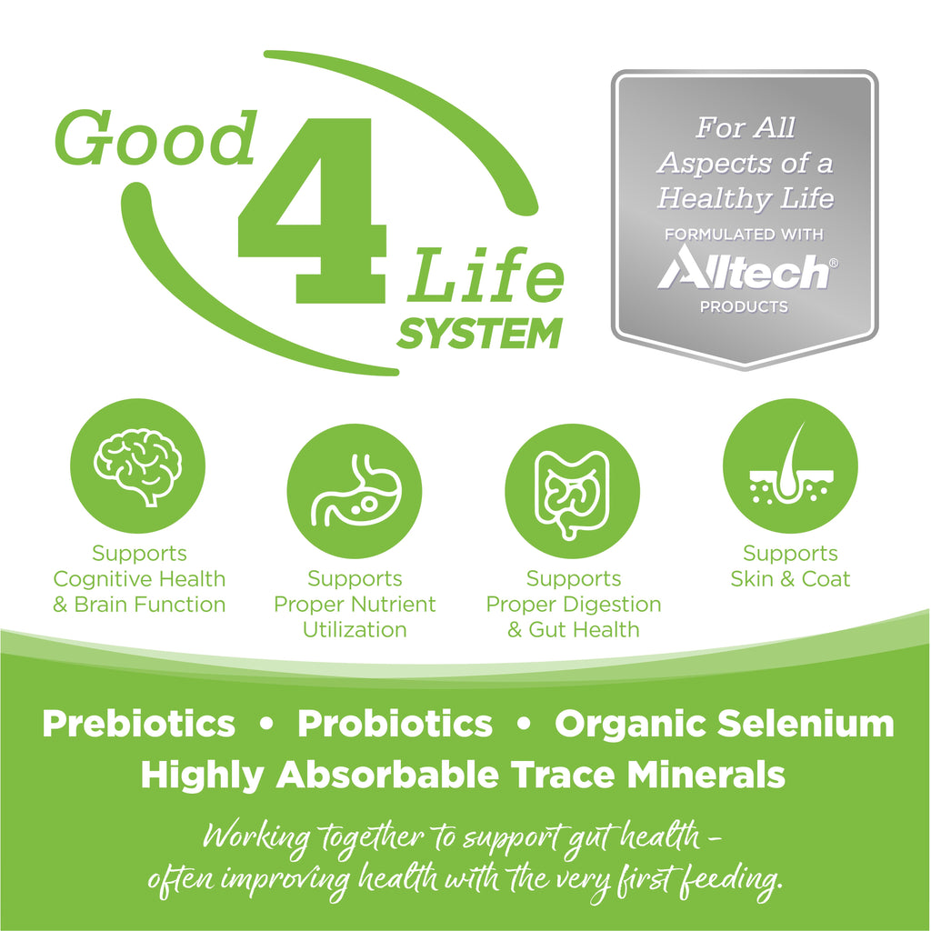 Weight Management Dog Food product image 3