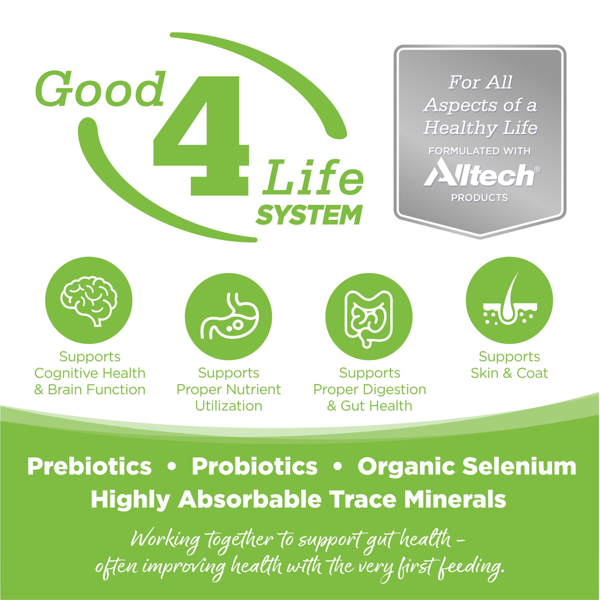 Grain Free Dog Food product image 5