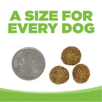 Grain Free Dog Food product image 9