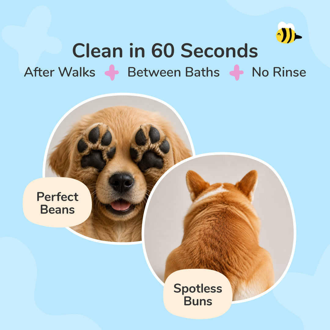 Waterless Pet Bath product image 2