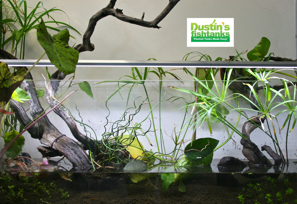 Double-Row Planted Aquarium LED Light product image 21