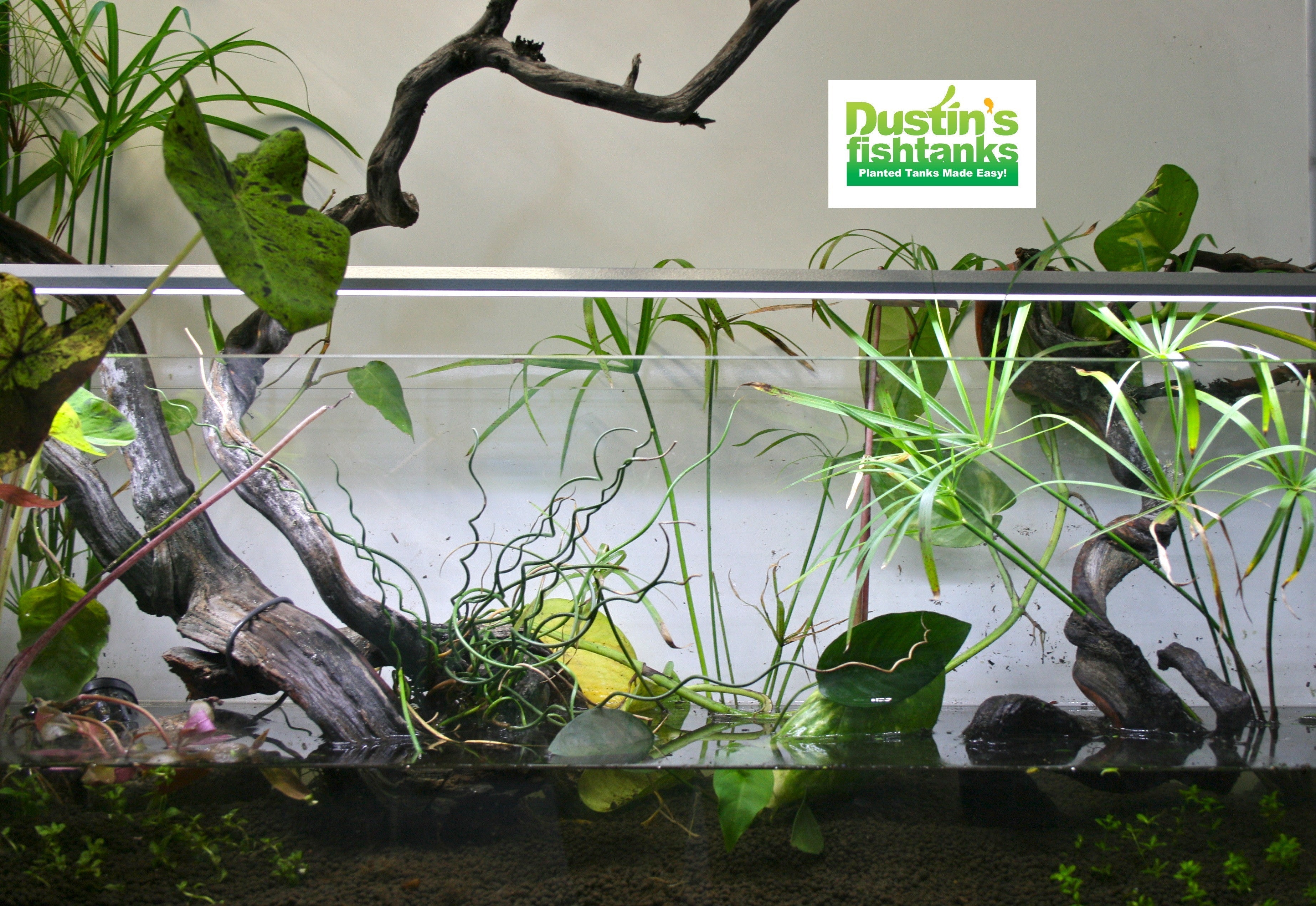 Double-Row Planted Aquarium LED Light product image 21