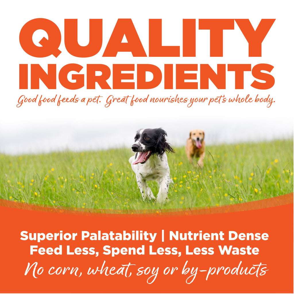 Dry Dog Food product image 8