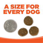 Dry Dog Food product image 9