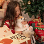 Cat Backpack Mini Calico Plush Kitty Bag for Teens, a Comforting Companion for Calm Moments Wherever You Go