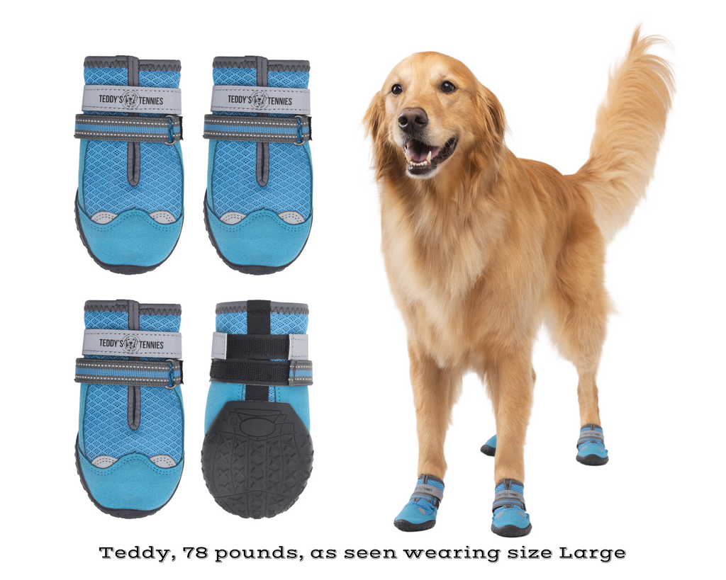 All-Season Protective Dog Shoes product image 6