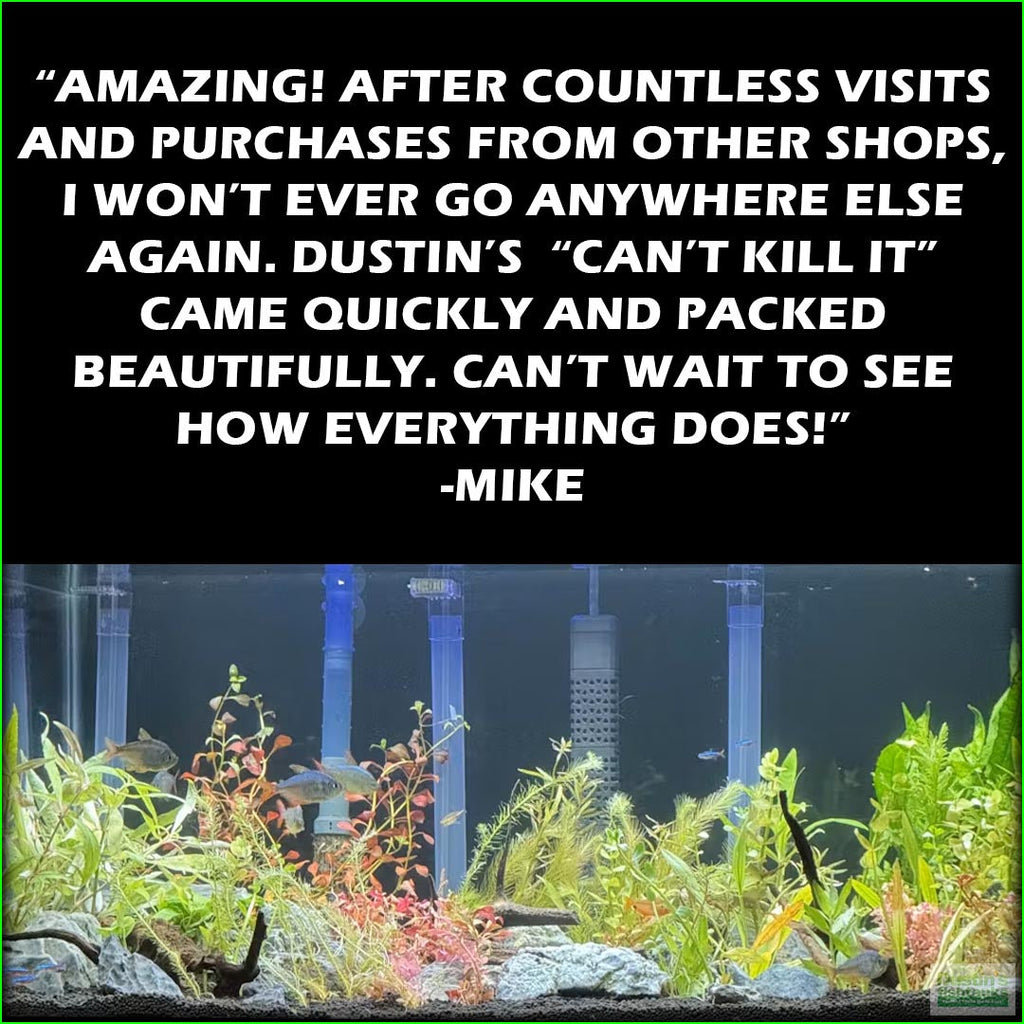 Can_tKillItplantedcombo_Mike