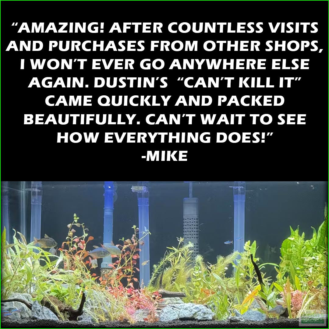 Can_tKillItplantedcombo_Mike