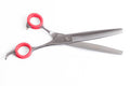 Professional Dog Grooming Fluffer Scissors Default Title
